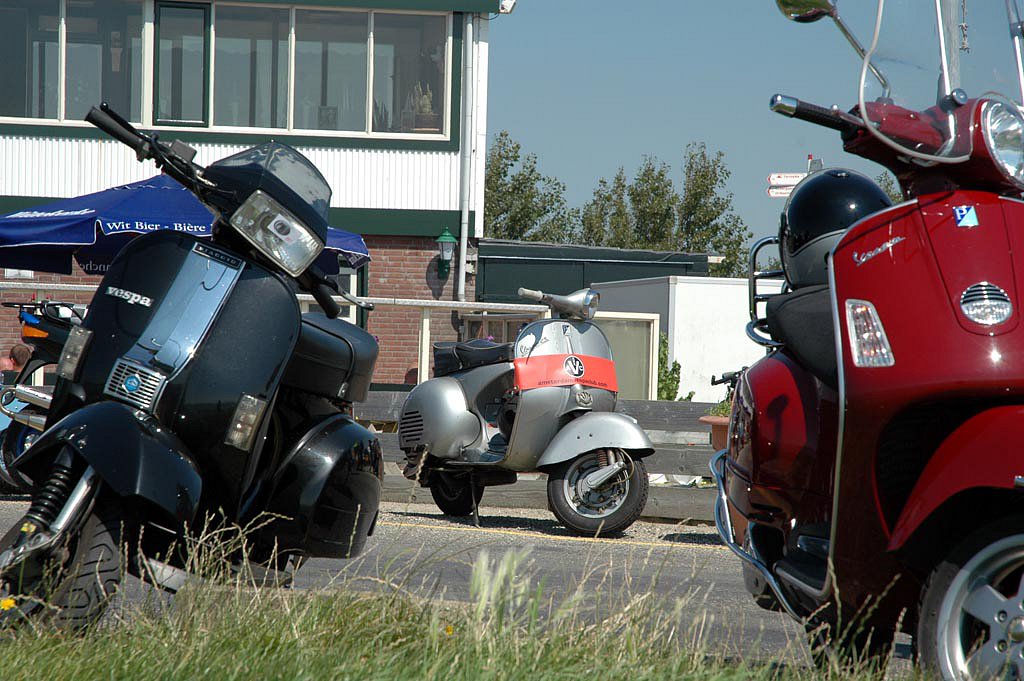 DSC-3130.jpg