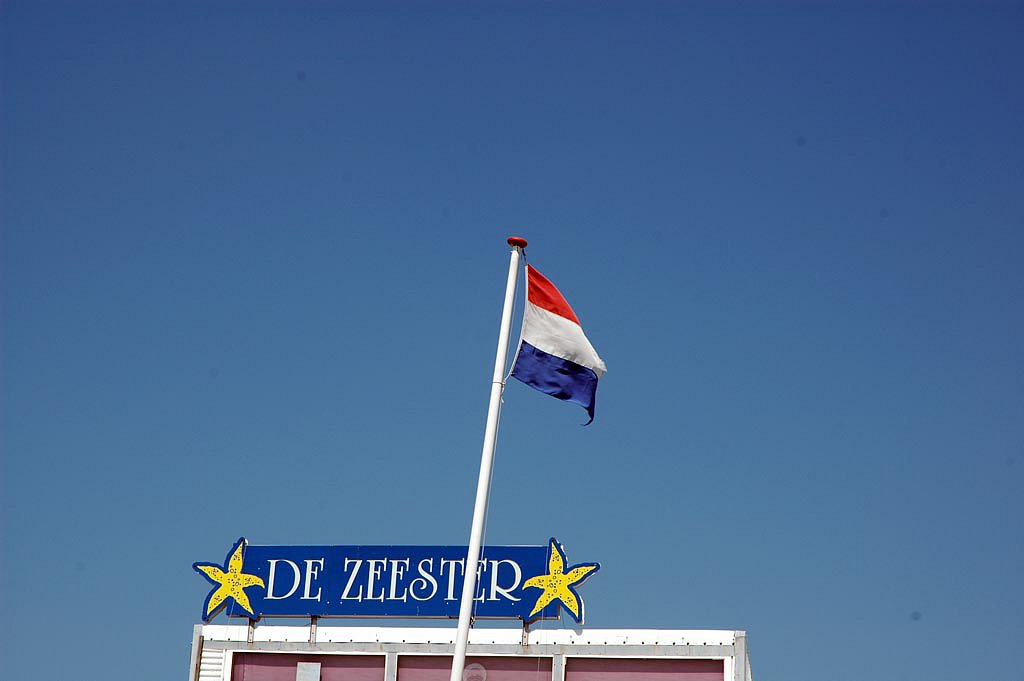 DSC-3154.jpg